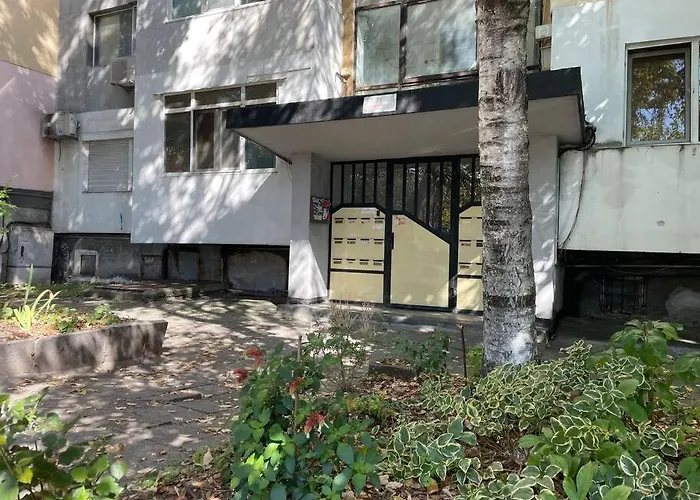 Sunny Seaside Retreat In 公寓